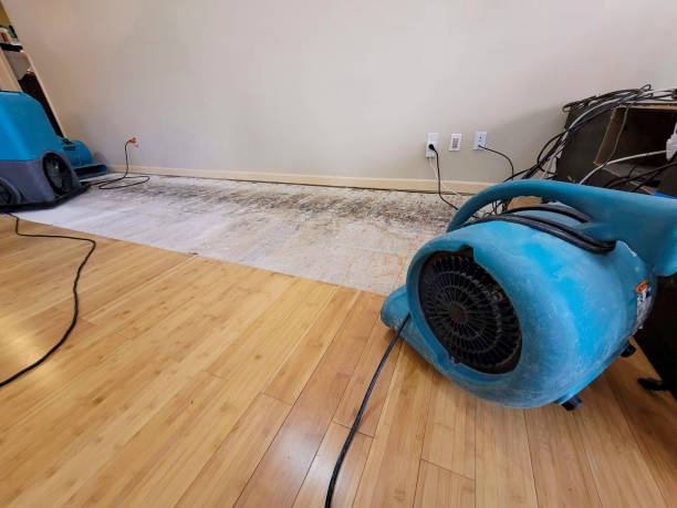 Professional Sewage Cleanup technician working in Sprague, NE